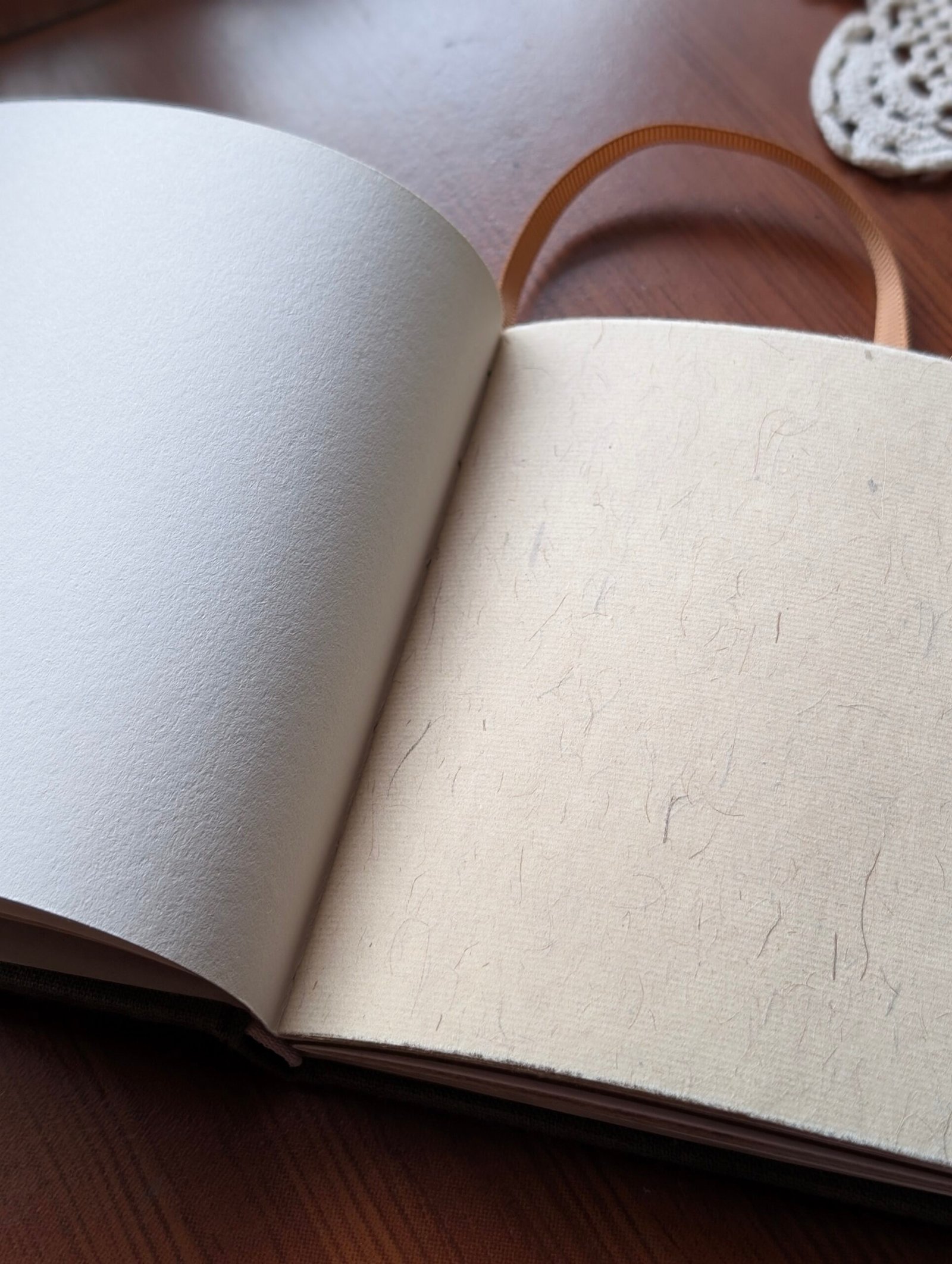 The Bay-an Journal - Image 9