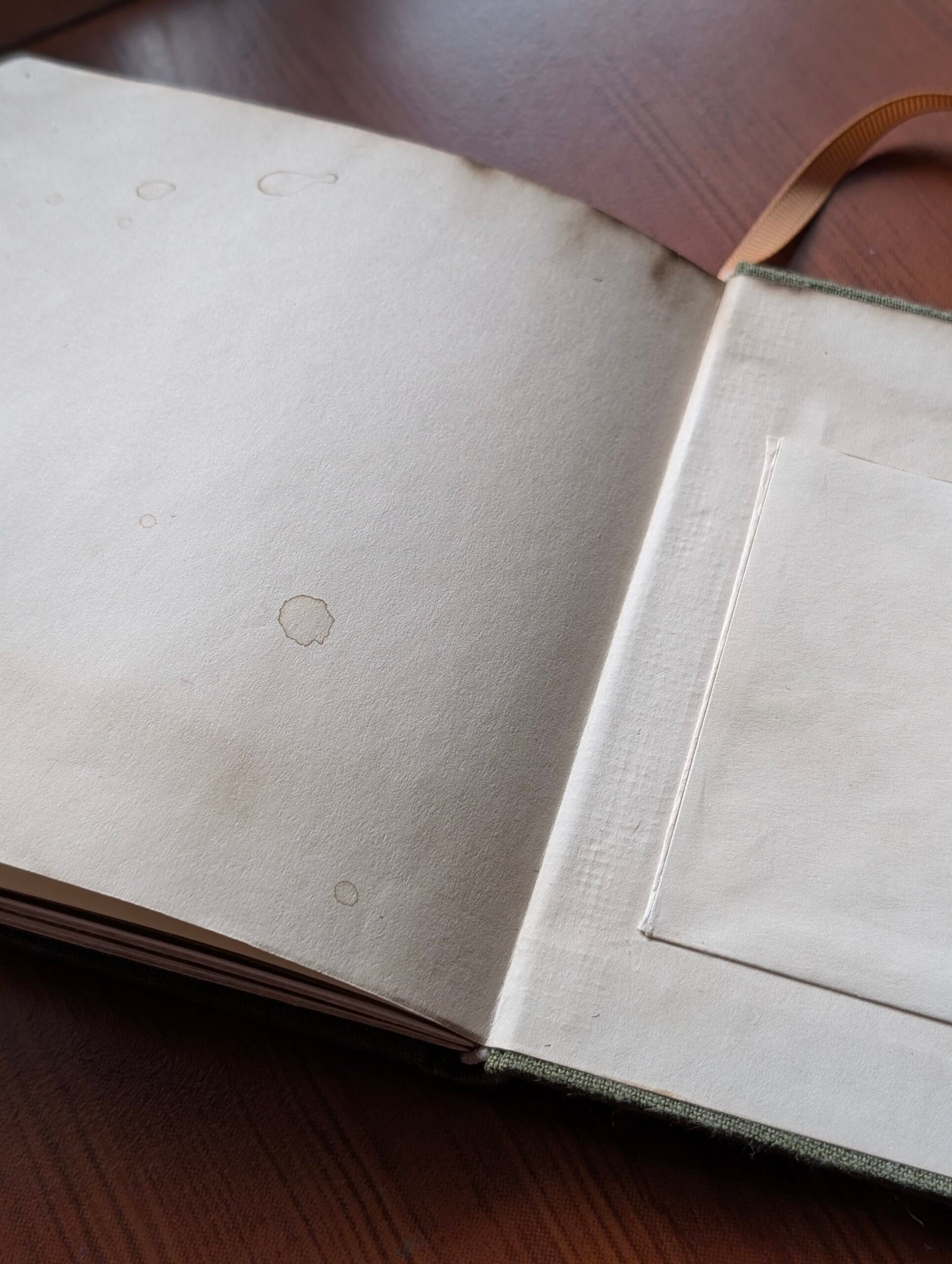 The Bay-an Journal - Image 12