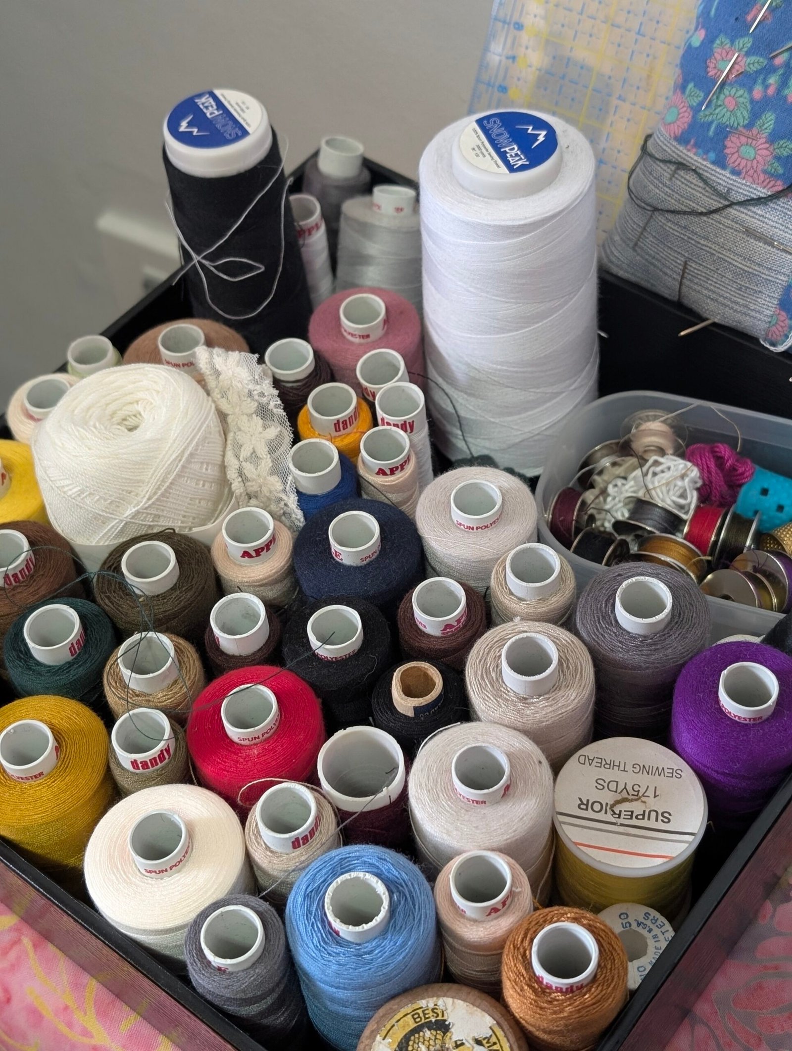 Motherland, Motherboard - Image 6